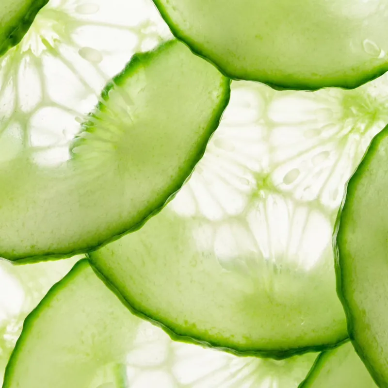 Fresh cucumber slices, close up